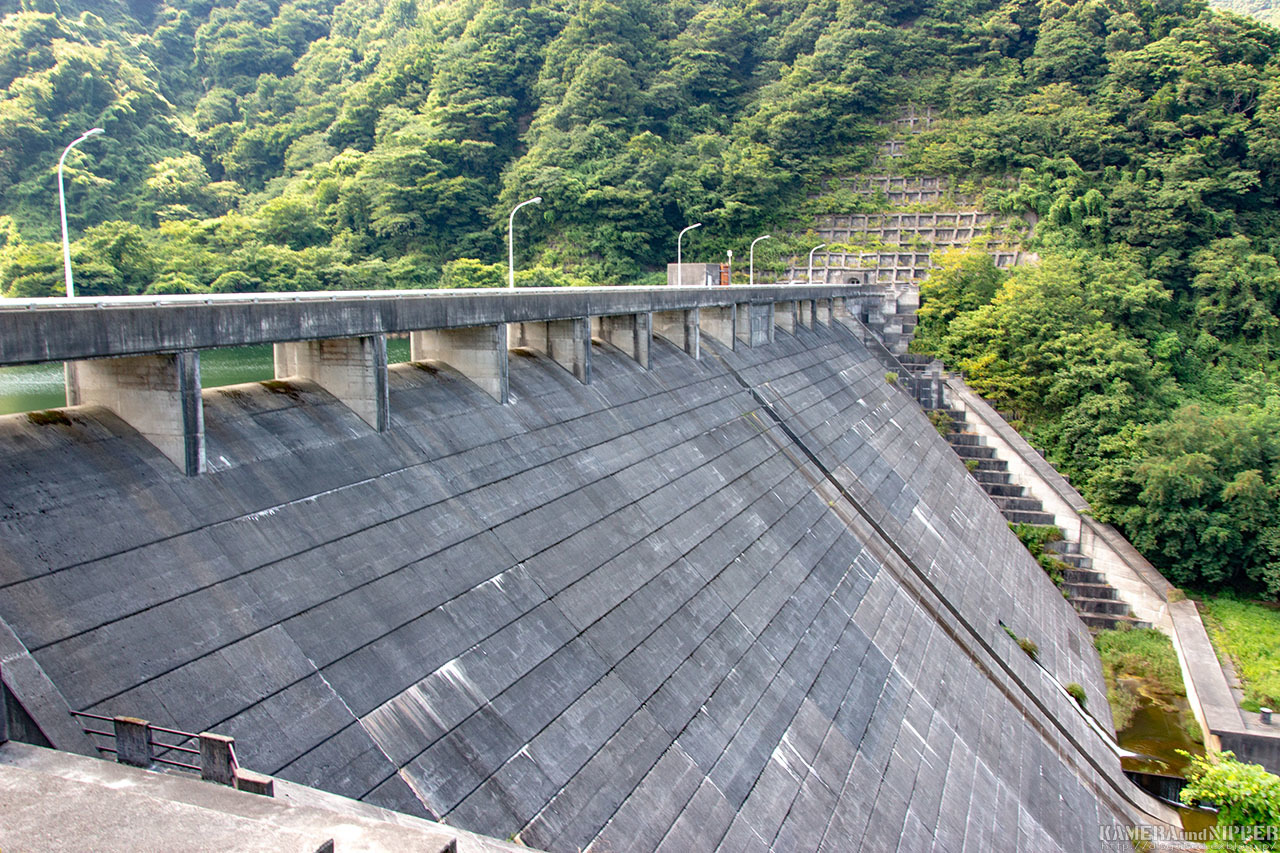a0207595_20394424.jpg