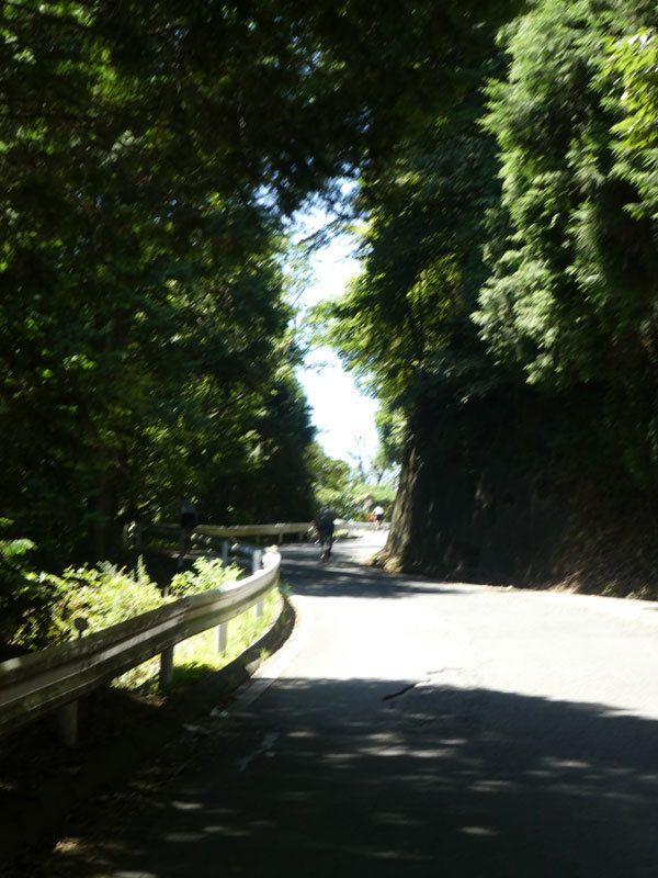 d0383596_19094703.jpg