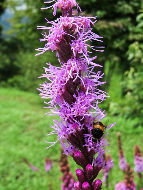 f0346196_15492828.jpg