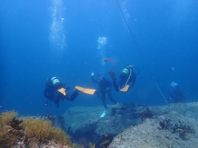 e0115199_14502035.jpg