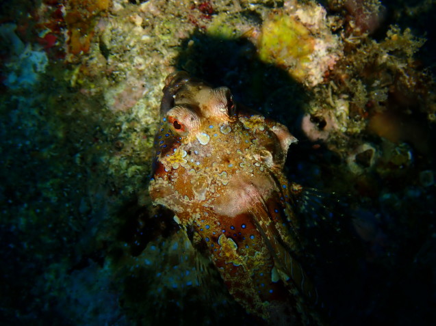 e0115199_14524397.jpg