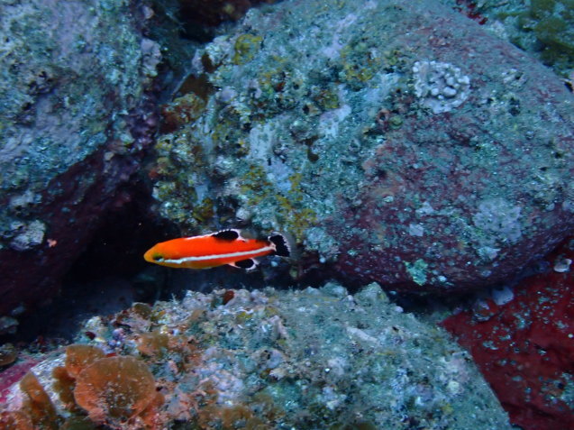 e0115199_14525548.jpg