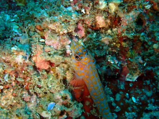 e0115199_14532434.jpg