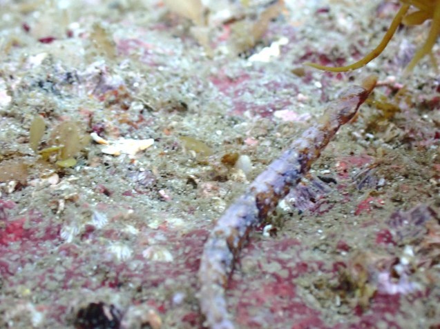 e0115199_14564849.jpg