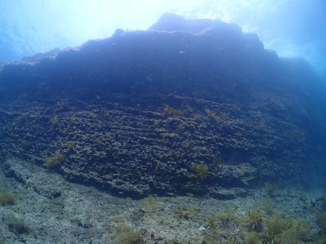 e0115199_15162667.jpg
