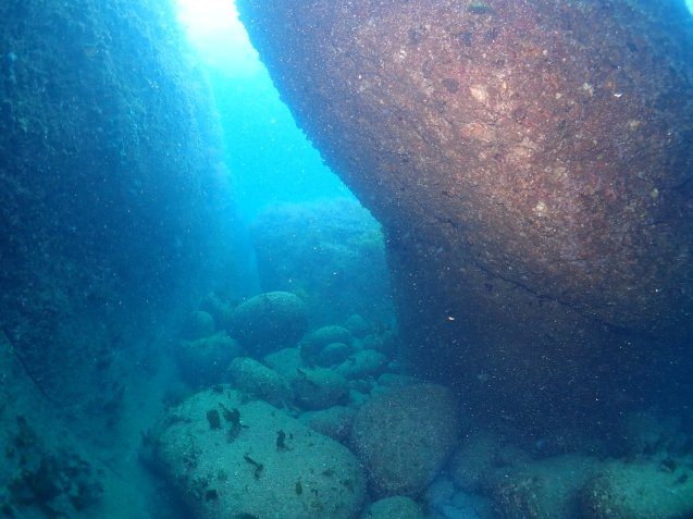 e0115199_15194674.jpg