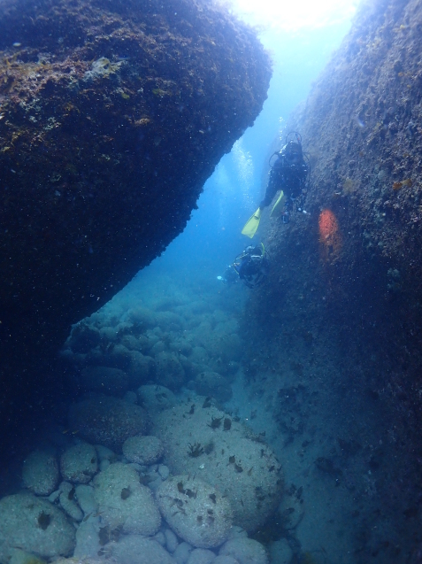e0115199_15202506.jpg