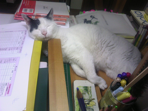 ぽんちゃん虹の橋を渡る_a0200902_10425252.jpg