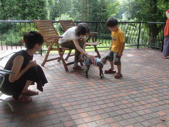 幸せいっぱいの元保護犬_f0064906_11411974.jpg