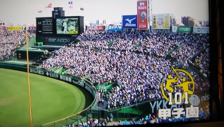 甲子園での初戦 宇部鴻城７ ３宇和島東 19 8 12 徳ちゃん便り