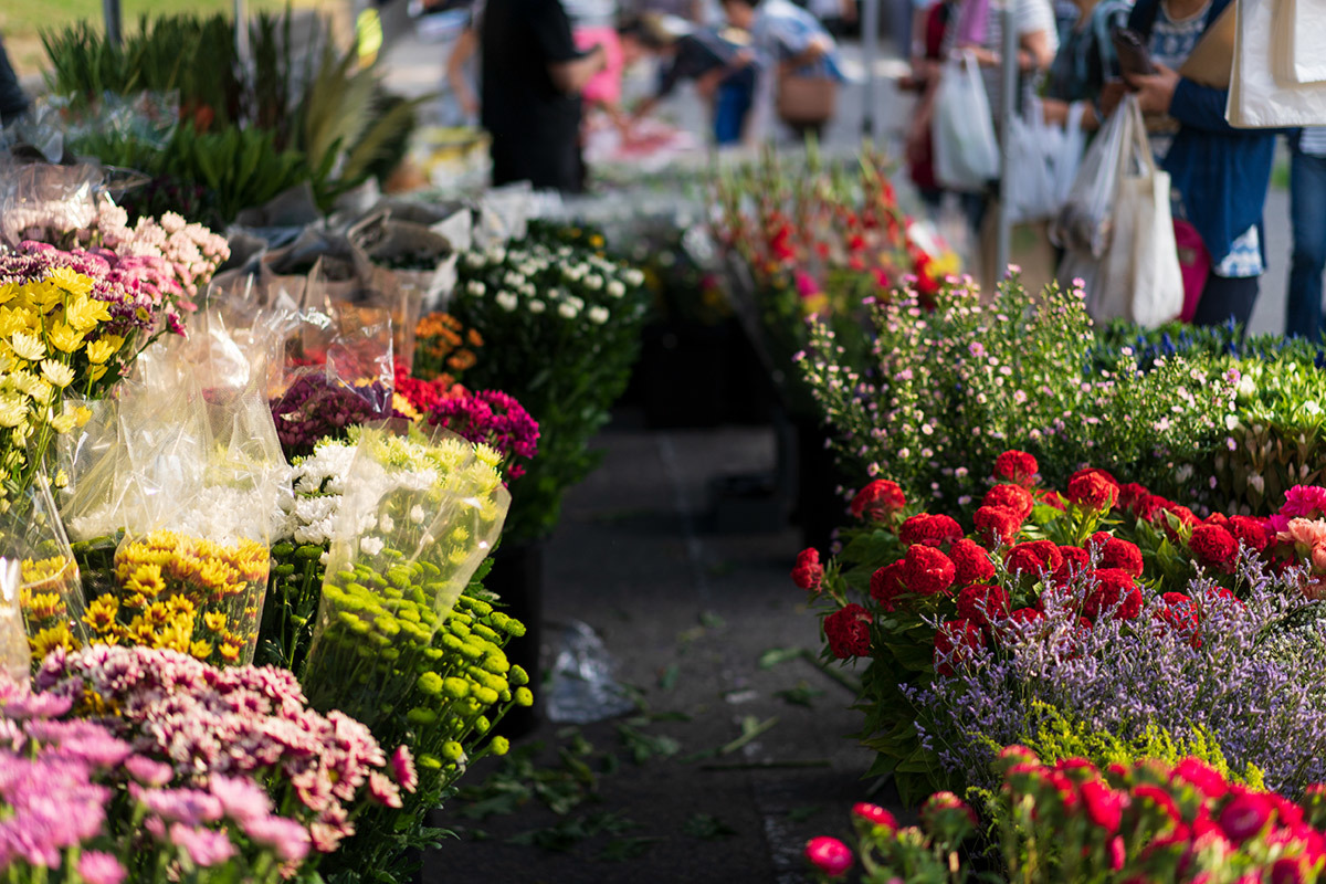 村上花市　flowers, to welcome the spirits of the dead during the Buddhist festival called Bon_c0065410_09113875.jpg