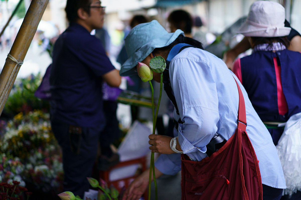 村上花市　flowers, to welcome the spirits of the dead during the Buddhist festival called Bon_c0065410_09133555.jpg