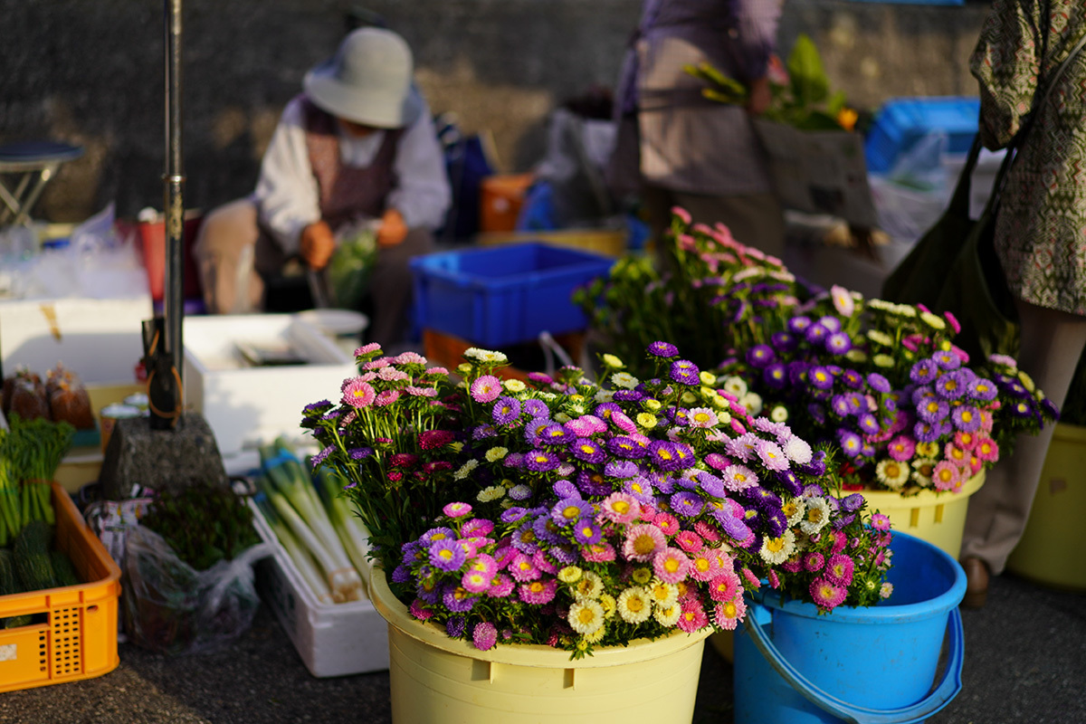 村上花市　flowers, to welcome the spirits of the dead during the Buddhist festival called Bon_c0065410_09142050.jpg