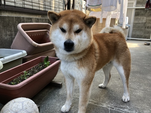 水分補給_d0184114_19343106.jpeg