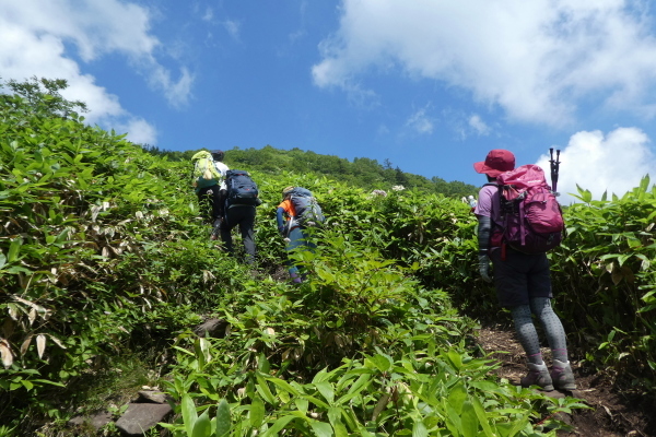 日本二百名山　飯縄山(1,917.3M)    ピックアップ編_d0170615_11110442.jpg