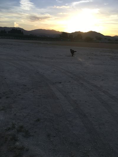c0114121_00071787.jpg