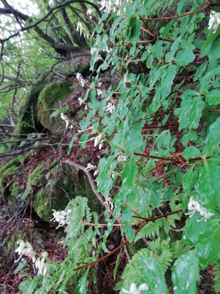 f0193521_1629319.jpg