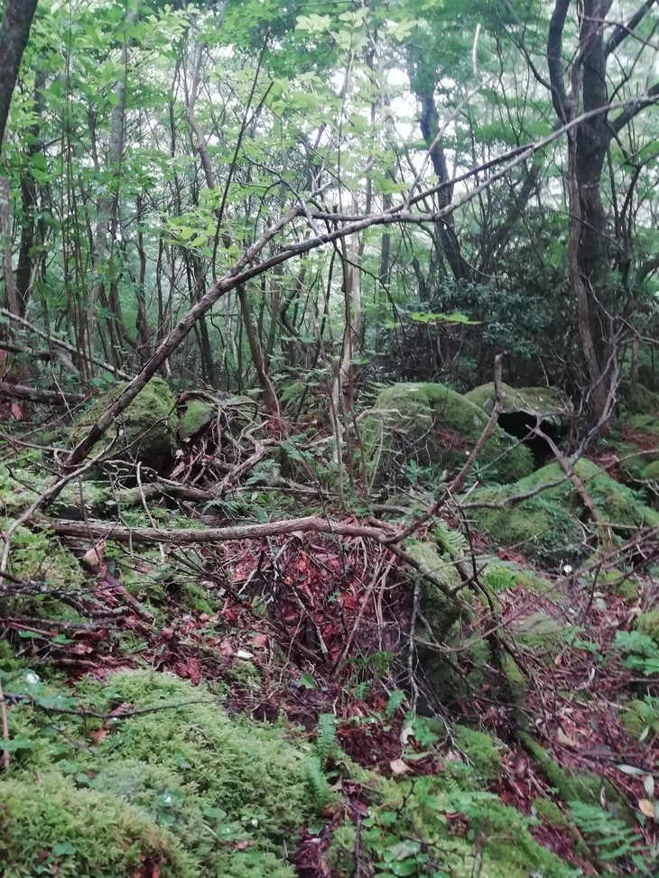 f0193521_430070.jpg