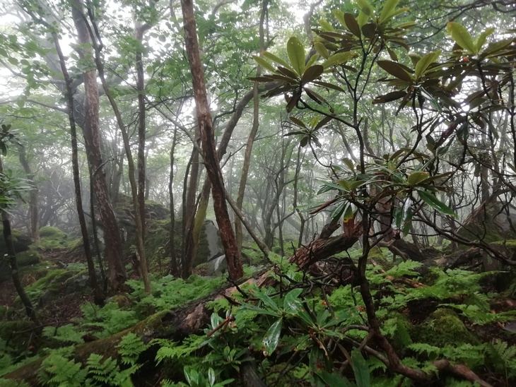 f0193521_5324944.jpg