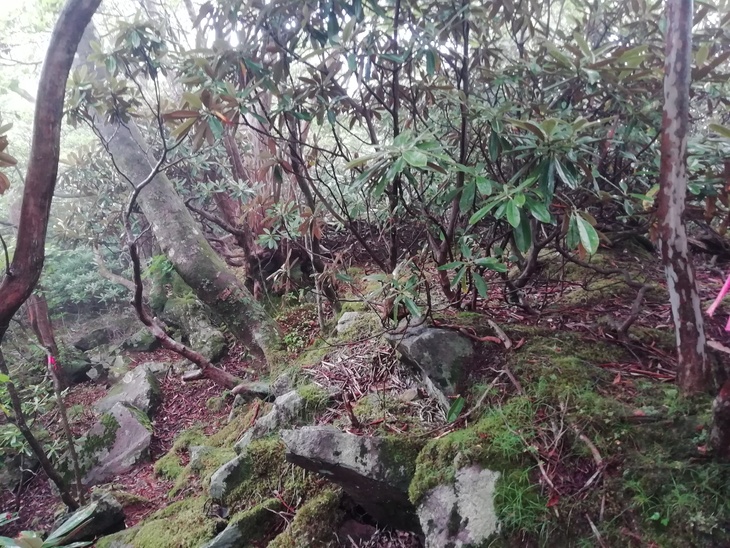 f0193521_5334879.jpg