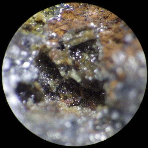 d0045626_23001846.jpg