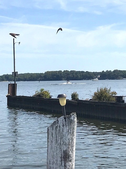 d0269832_05484420.jpeg