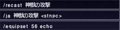 召喚士マクロ_e0401547_19351678.png