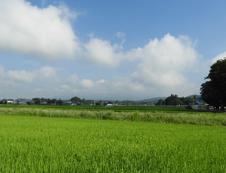 あきずに、旭山の虫散歩_e0172950_2026299.jpg