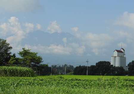 あきずに、旭山の虫散歩_e0172950_2027064.jpg