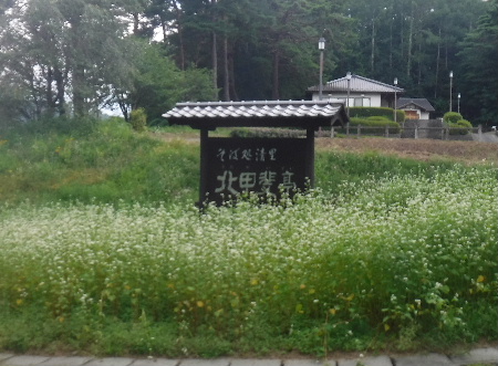 e0172950_21222874.jpg