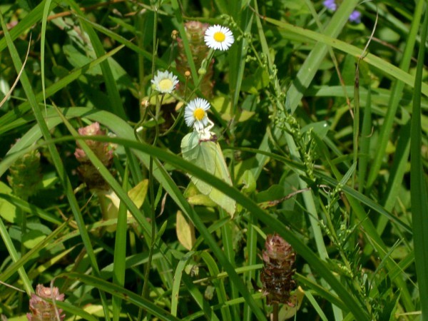 c0045352_09203800.jpg
