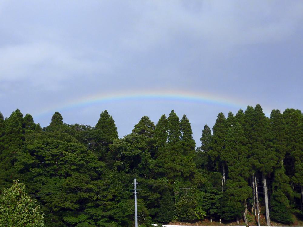 e0024554_20195244.jpg