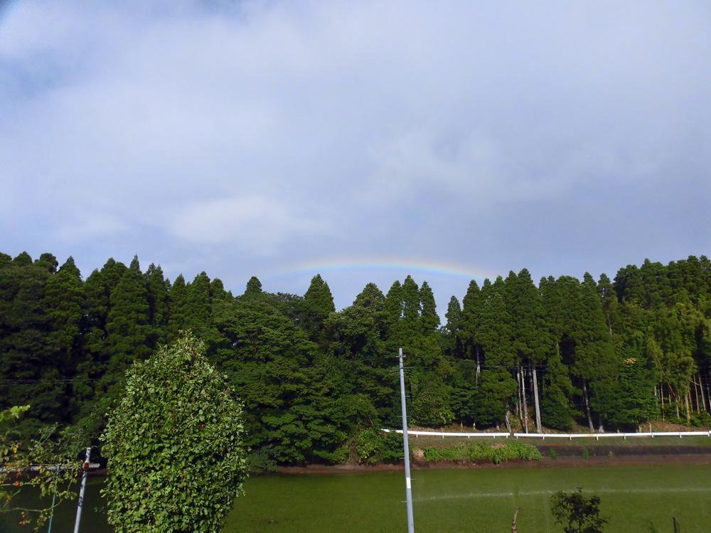 e0024554_20195269.jpg