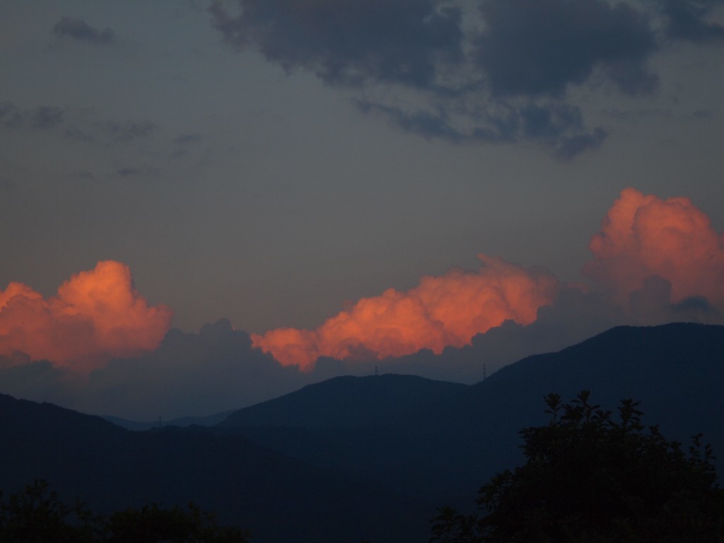 b0319255_00254539.jpg