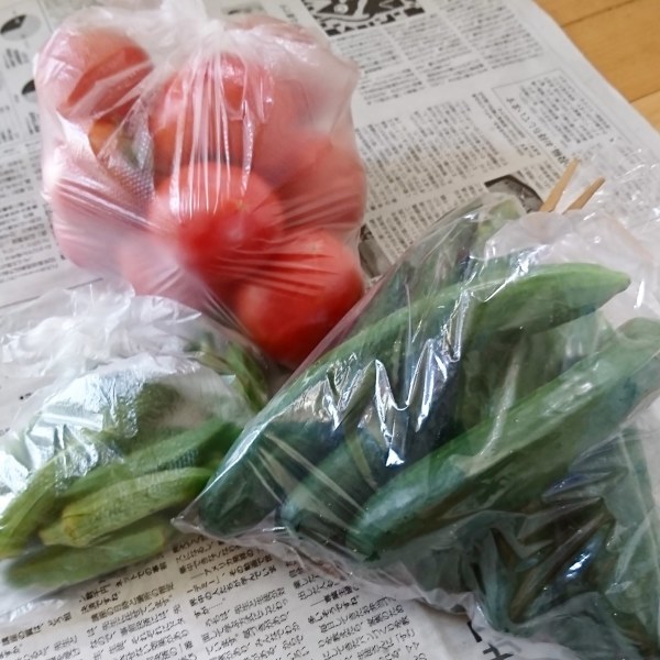 ++お盆前のお野菜便*++_e0354456_17122257.jpg