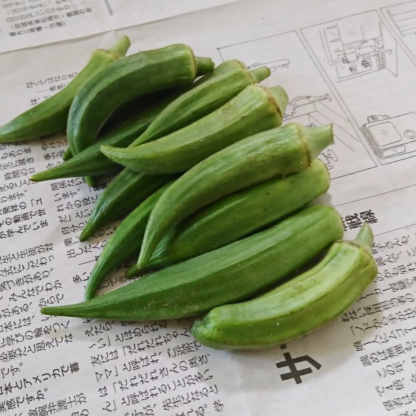 ++お盆前のお野菜便*++_e0354456_17123883.jpg