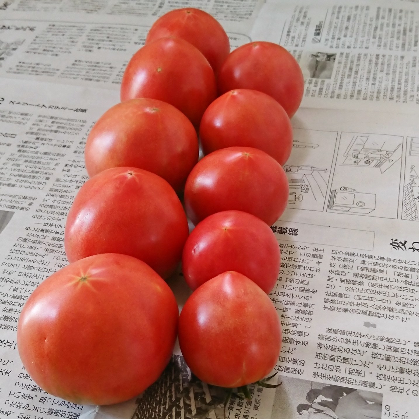 ++お盆前のお野菜便*++_e0354456_17125142.jpg