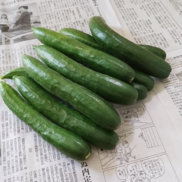 ++お盆前のお野菜便*++_e0354456_17130524.jpg