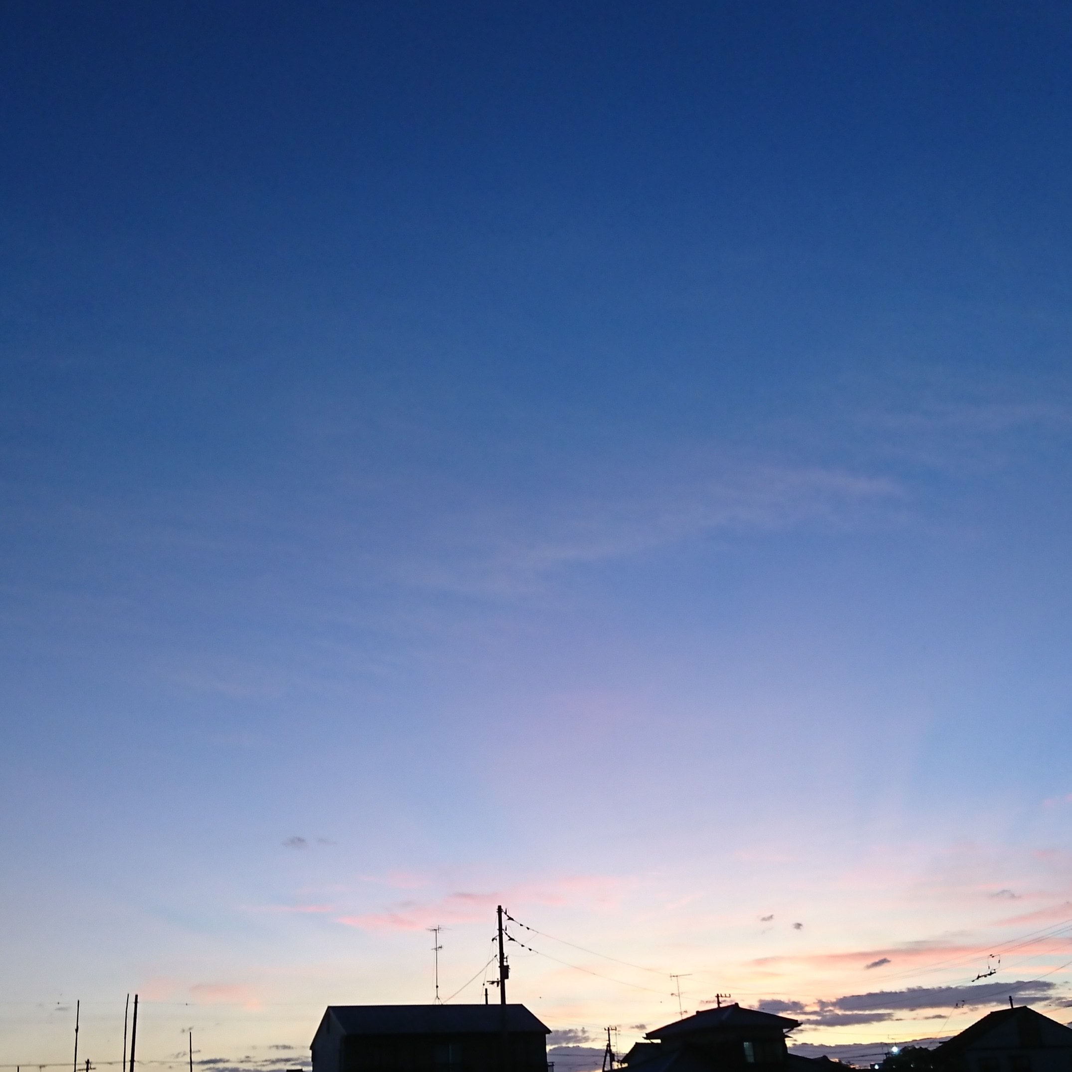 ++お盆前のお野菜便*++_e0354456_17131450.jpg