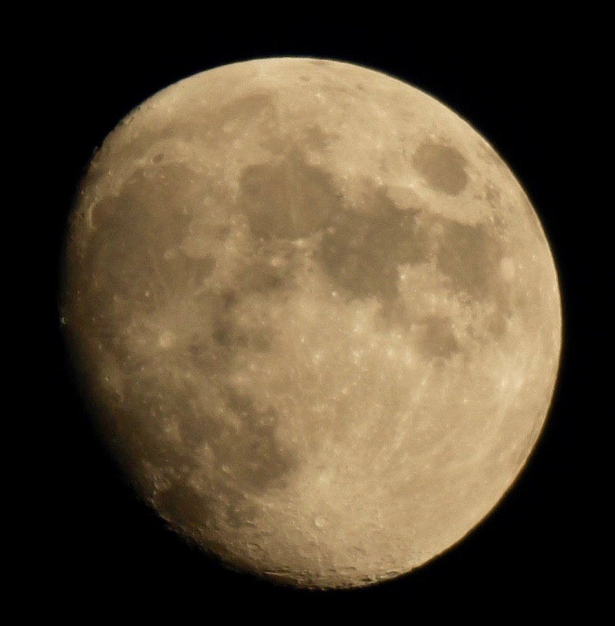 a0248459_15040572.jpg