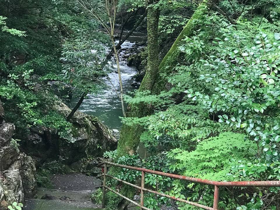c0115560_09282052.jpg