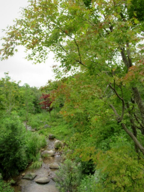 f0236260_04385672.jpg