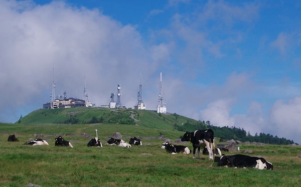 d0164761_13565686.jpg