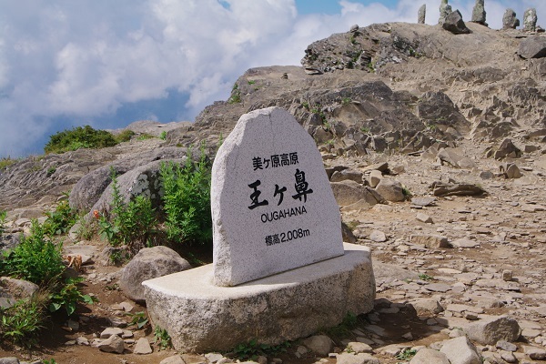 d0164761_14045910.jpg
