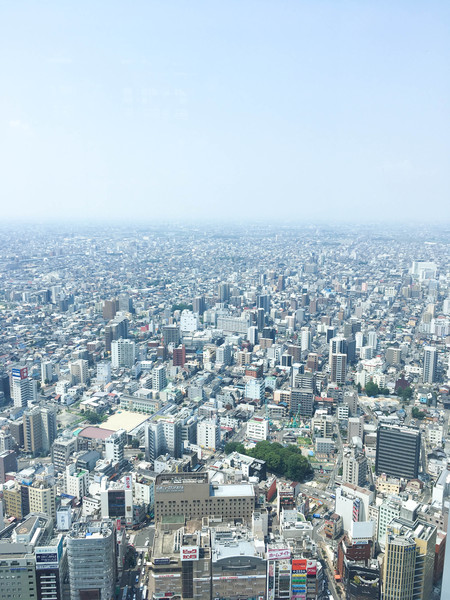 d0224162_23184448.jpg