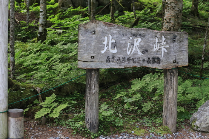 e0338862_17292330.jpg
