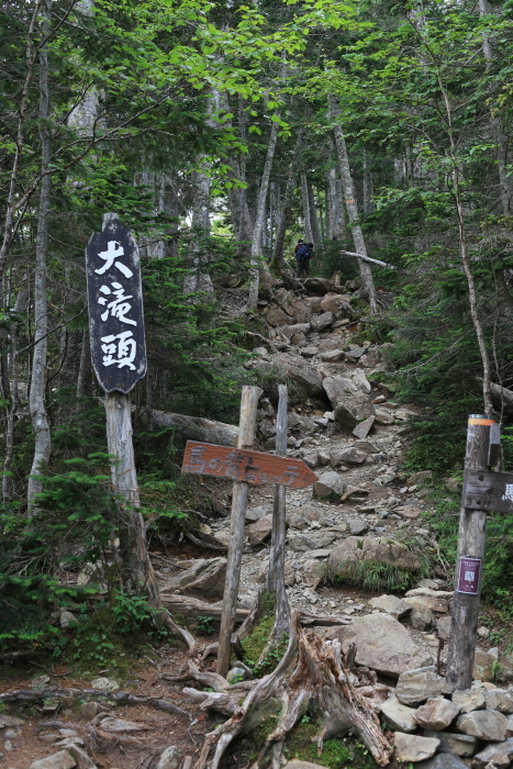 e0338862_17325051.jpg