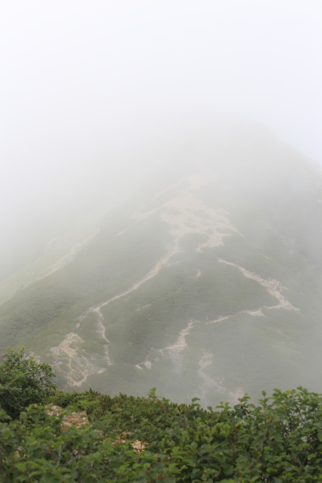 e0338862_17350094.jpg