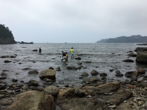 b0145863_11422886.jpeg