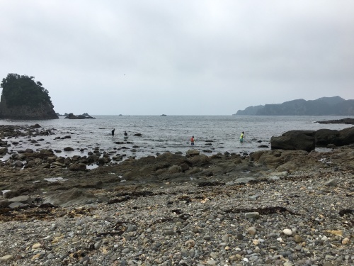 b0145863_11455254.jpeg